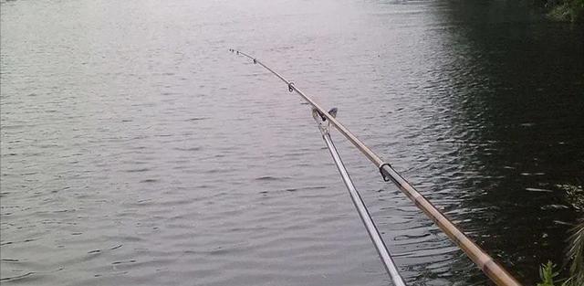 广东省|广东一男子户外野钓，意外收获了1条皮包骨的“怪鱼”，认识吗？