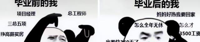 大学生|毕业前后的差距太大,学生做梗图调侃自己,看完逗乐众多网友