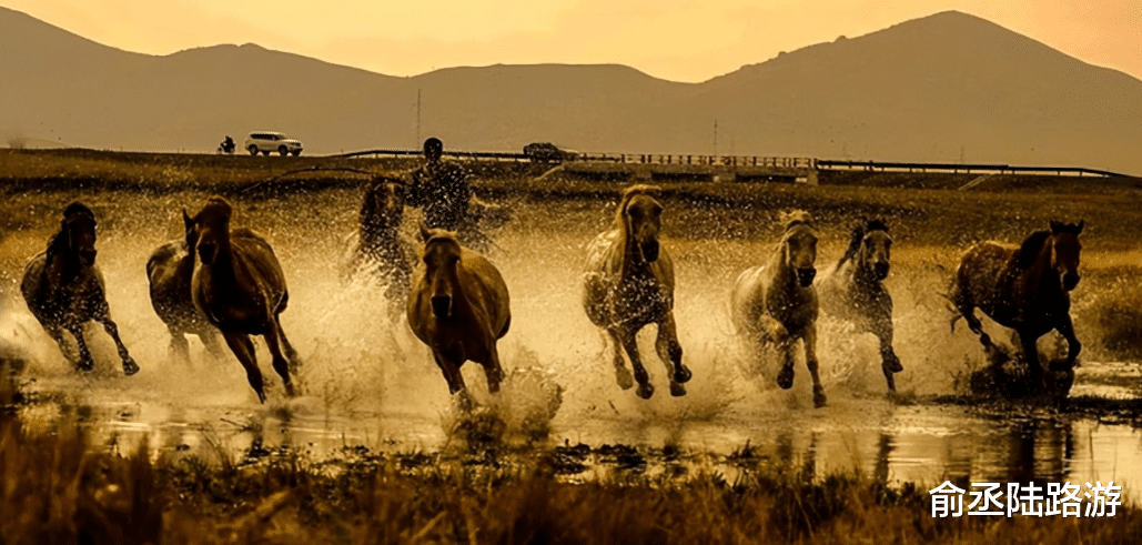 蛋白质|清朝人发型真的是阴阳头?别被电视骗了,他们的真实发型是这样的
