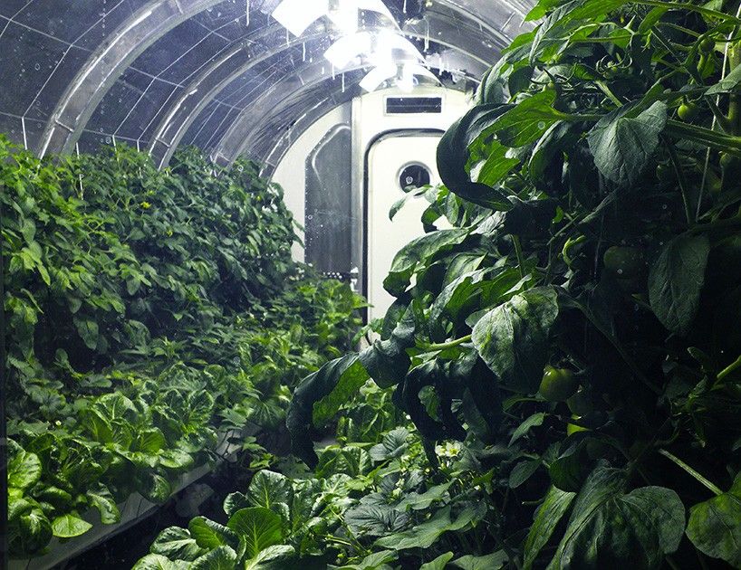 到火星种土豆有多难?人类的太空事业能走多远就看它了!