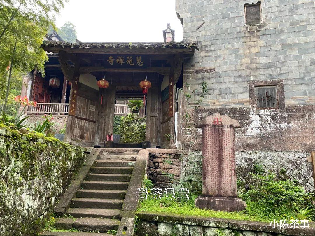 武夷山|章堂涧、古崖居、鹰嘴岩，现场实拍图还原，3分钟带你认识慧苑坑