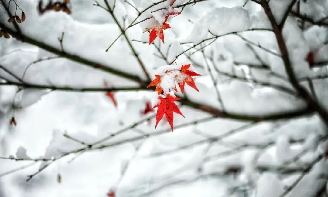 ?运用雪景拍摄人像,如何拍摄出唯美的感觉?8个拍摄方法分享