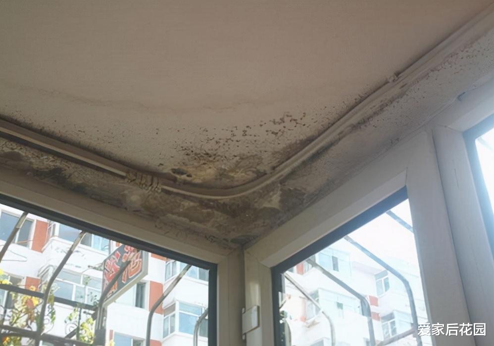 当初年轻不懂事,犯下5个装修错误,现在每天都在后悔!