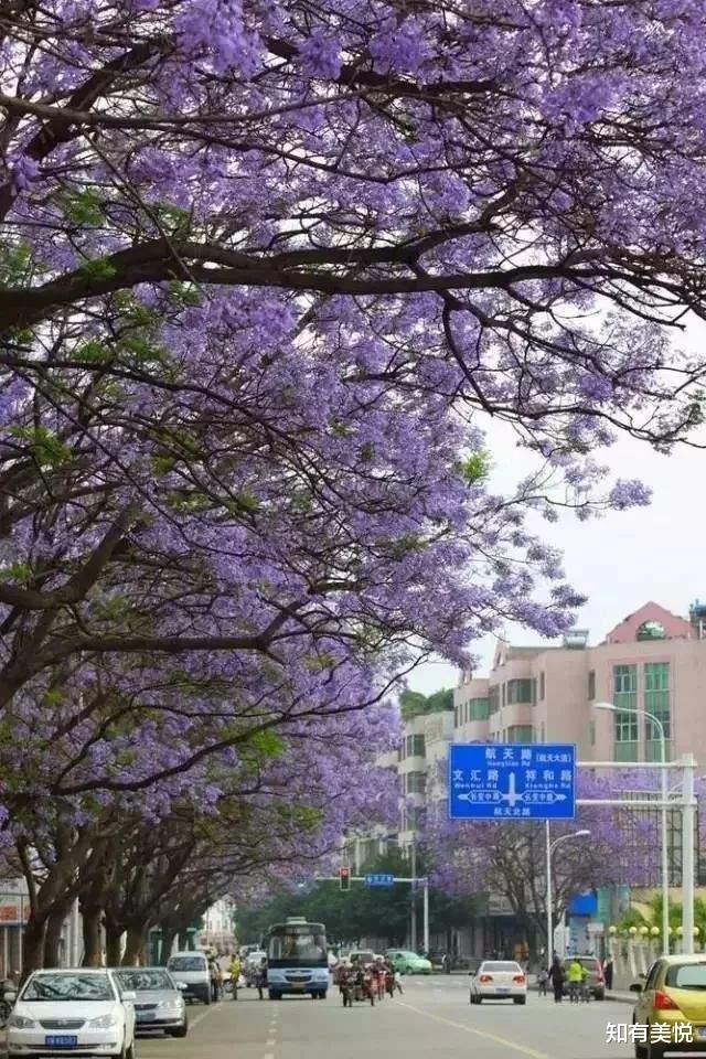 旅游市场|最好的夏天，最美的10个旅行地，个个美如仙境，你准备好出发了吗？
