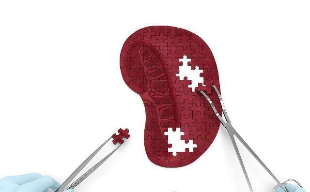 胆固醇|脾虚的人,身体可能会有这4个“信号”,做好2件事,脾胃慢慢变好