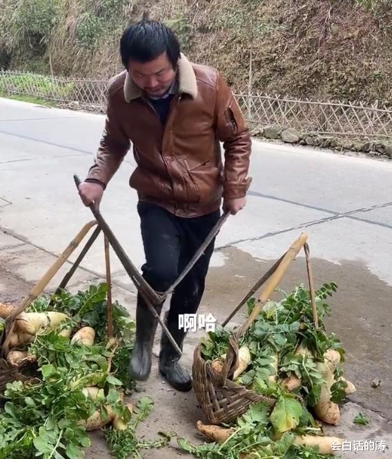 谭松韵|牛爱芳挑萝卜玩“假摔”，气得拿老演员撒气，网友：影帝名不虚传