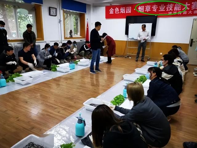 穿衣搭配|情侣双双入职烟草公司,发出的薪资明细让人羡慕,年终奖属实可观!