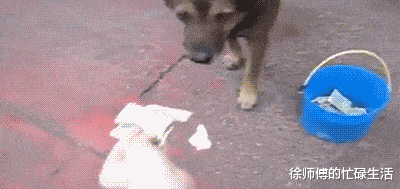 郭德纲|剧本炒作?郭德纲与王梦婷绯闻事件持续发酵,德云社为何集体失声