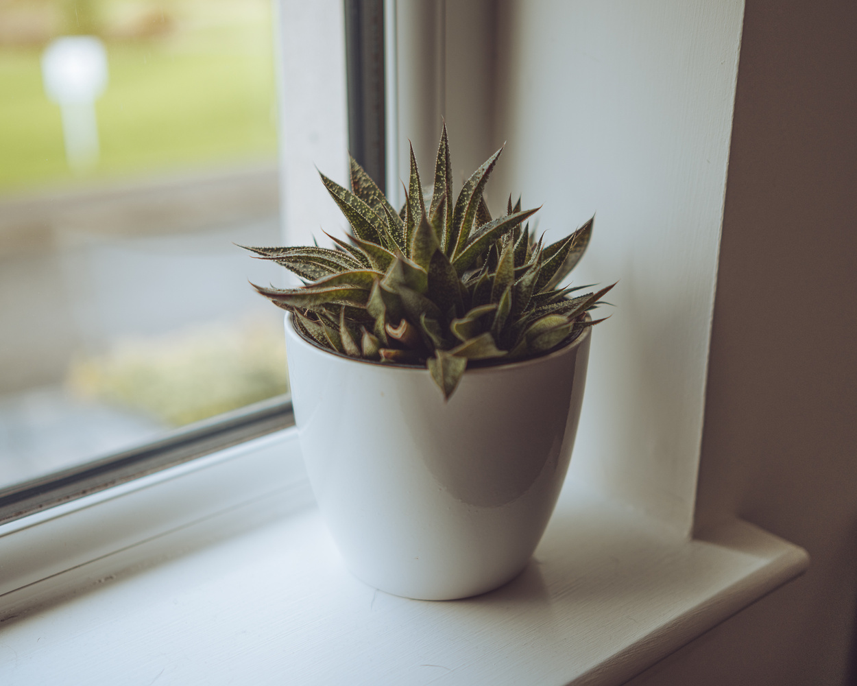 微信|Viltrox 35mm f/1.8:高品质第三方镜头的典范