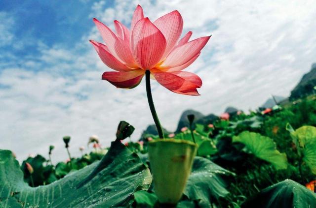 水果|这几种水果是“湿气果”，越吃湿气越重