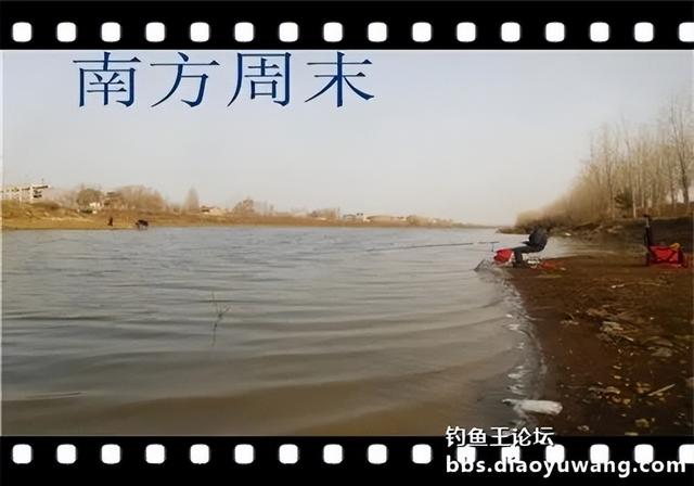 饵料|雨水节气春风劲，沙河一行爽拉鲫