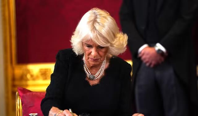 哈里王子|哈里王子、梅根遭贬低之后,王室发布旧照片,大肆吹捧王后卡米拉