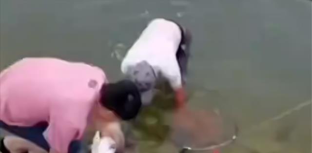 |男子野钓意外收获大鱼，两次拿到手了还给跑了，网友：天意不可违