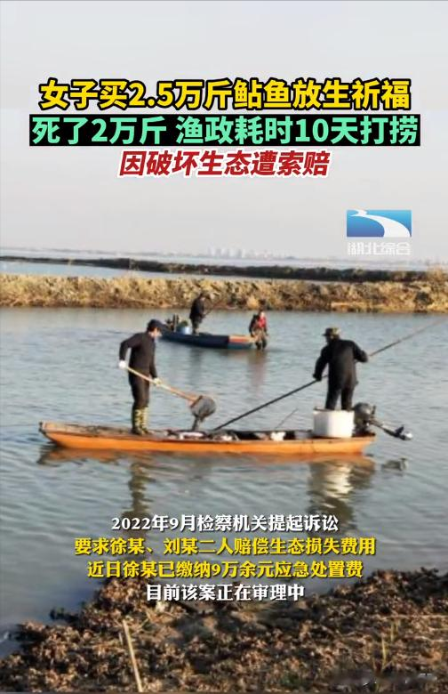 2.5万斤鲶鱼基本团灭,女子放生祈福却适得其反,破坏生态领到罚单