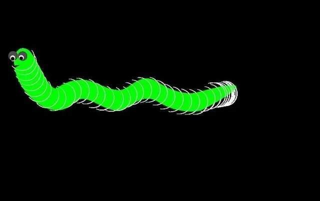 吃虫能治癌症?科学家利用蠕虫杀死癌细胞,但对人体会有危害吗?