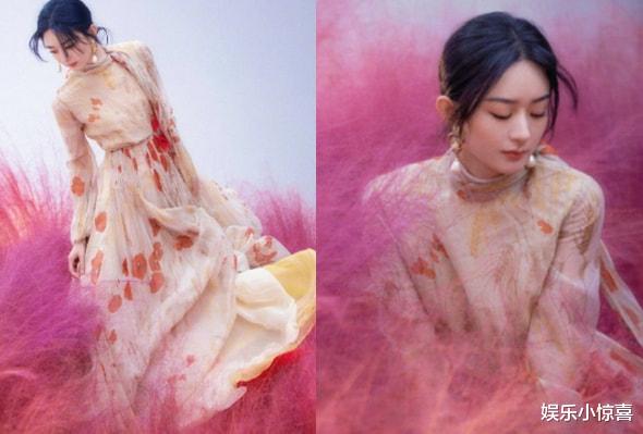 赵丽颖|网友晒与赵丽颖合影,生图下五官僵硬被嘲像假人,网友:抬走