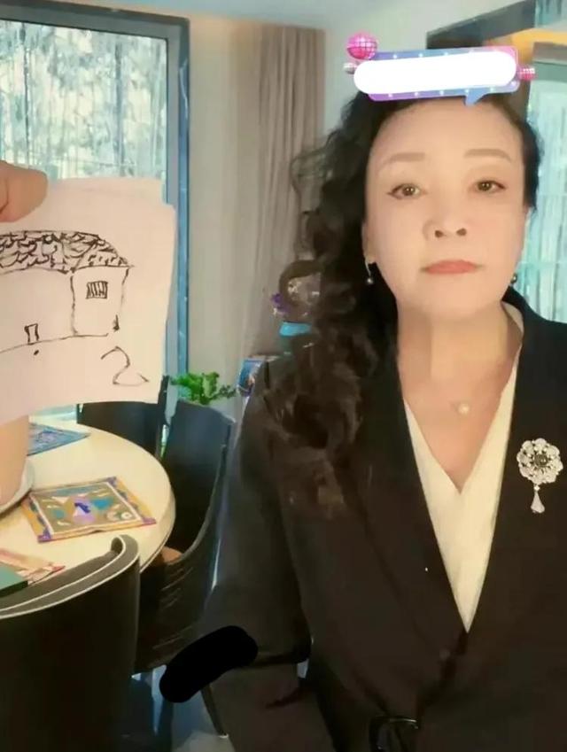 大S|大S起诉台湾省小主播,杀鸡儆猴?