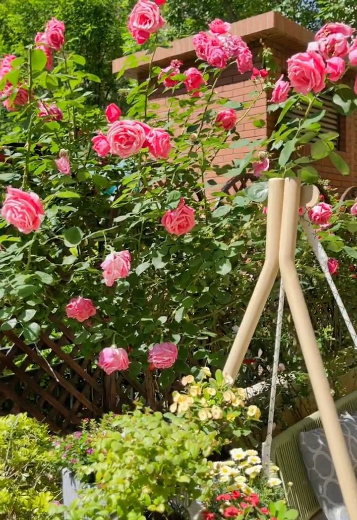 武汉|不顾反对,买了一楼带院子,当看到我的小花园后,他们只剩羡慕了