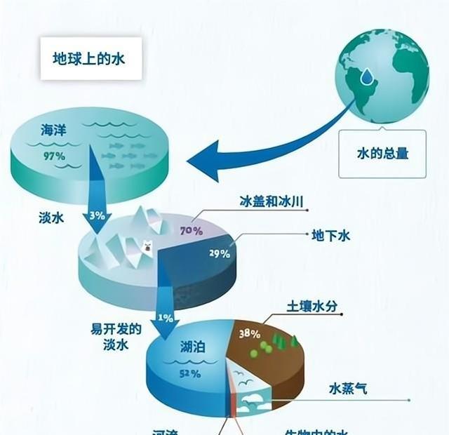 海水很咸不能喝!那海洋中的生物,究竟是如何喝到淡水的?
