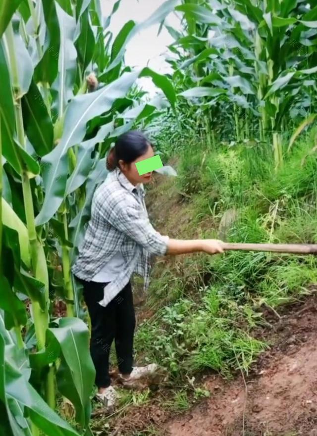 男子带相亲女孩回老家,女孩主动下地干农活,网友:简直是绝配