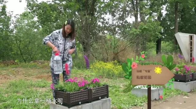 周海媚|周海媚:17 岁选港姐被淘汰,却成TVB当红花旦,还被编剧“写死”