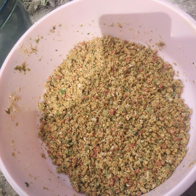 |大年大河大太阳，小打小闹小过瘾！