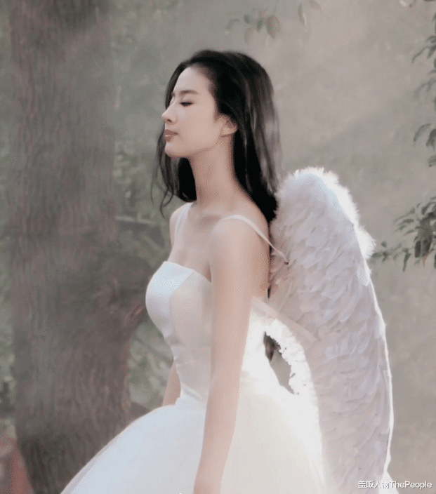 维多利亚的秘密|同样挥动着“翅膀”:有女星美若天仙、惊艳四座,有人像扑棱蛾子