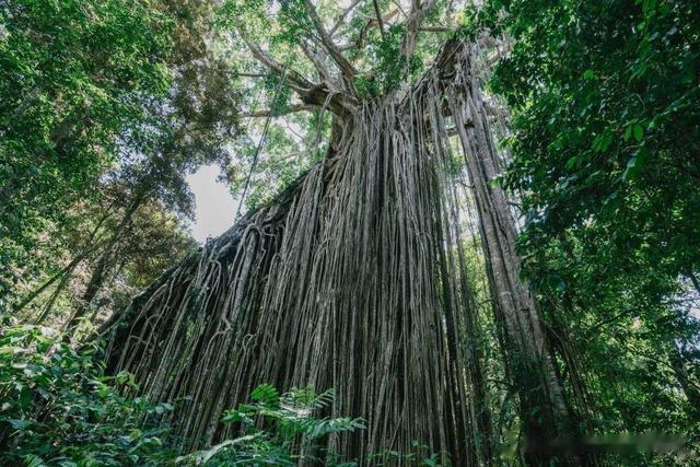 假如一直往地下挖,能把地球挖穿吗?