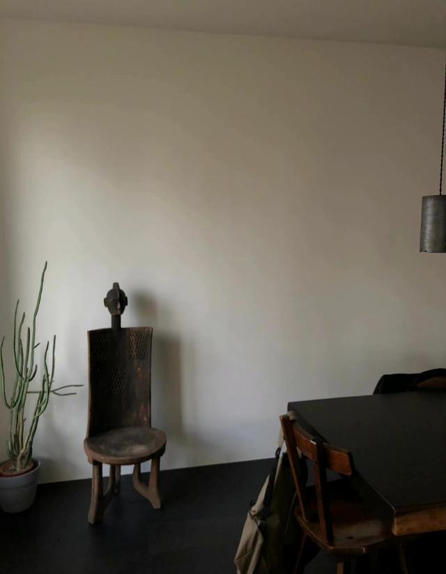 杨祐宁|41岁全能演员杨祐宁的家，百万床垫复古家具超级有品味，被圈粉了