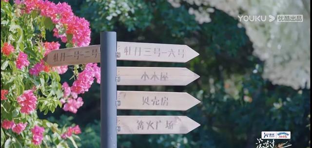 没谈过恋爱的我|内娱塌房已经卷到素人综艺了