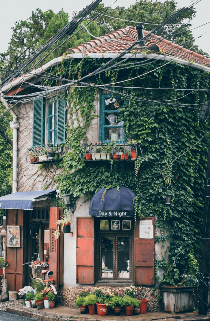 |这座宜居Top1的海滨老城,一到夏天,就美得让人欲罢不能