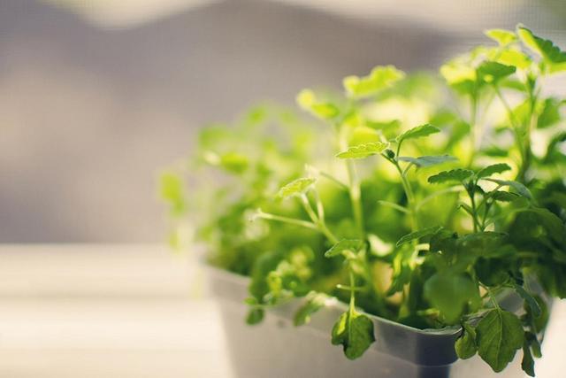 一个家庭过得幸不幸福,看看家里的一个地方就知道,伪装不了