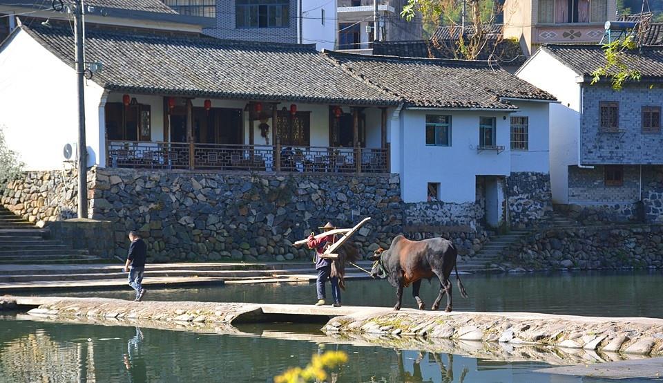 宁波|宁波桃源秘境的古村落，有着九寨沟般的美景，人少景美没门票