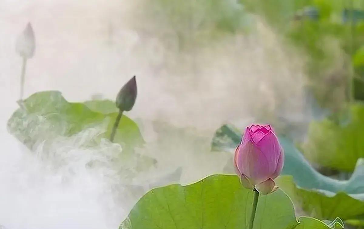 |光鲜亮丽遮不住内心的酸楚