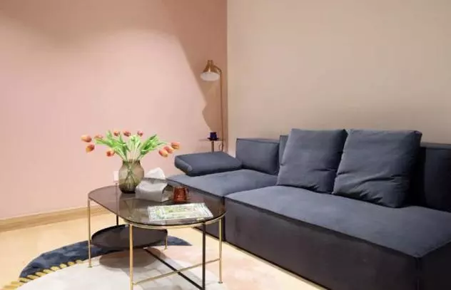 50㎡一字型公寓,玄关鞋柜可做电视墙,超经典的简约一居室