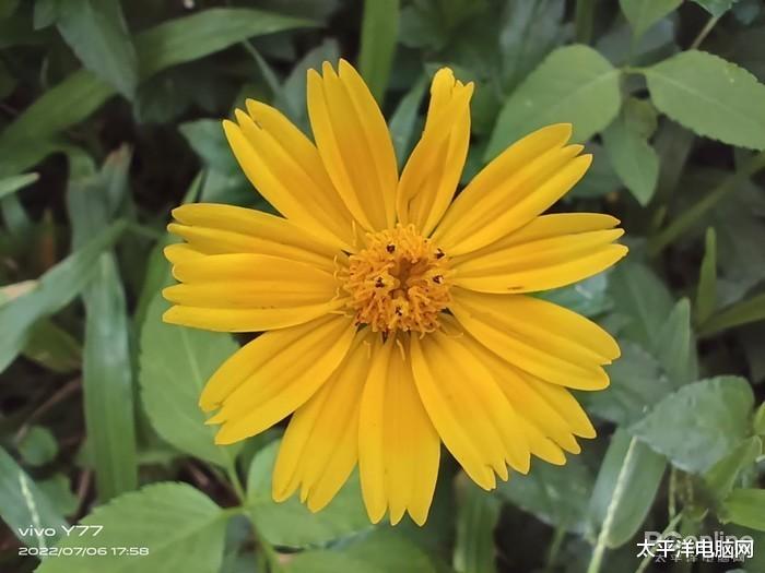 金士顿|昼夜都能拍！全价位段这些拍摄利器不容错过