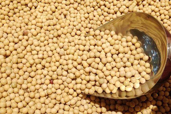 长寿秘诀|128岁“中国长寿之星”公开长寿秘诀,很简单就三点,你能做到吗