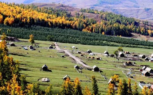 |公司是怎么一步步废掉你的