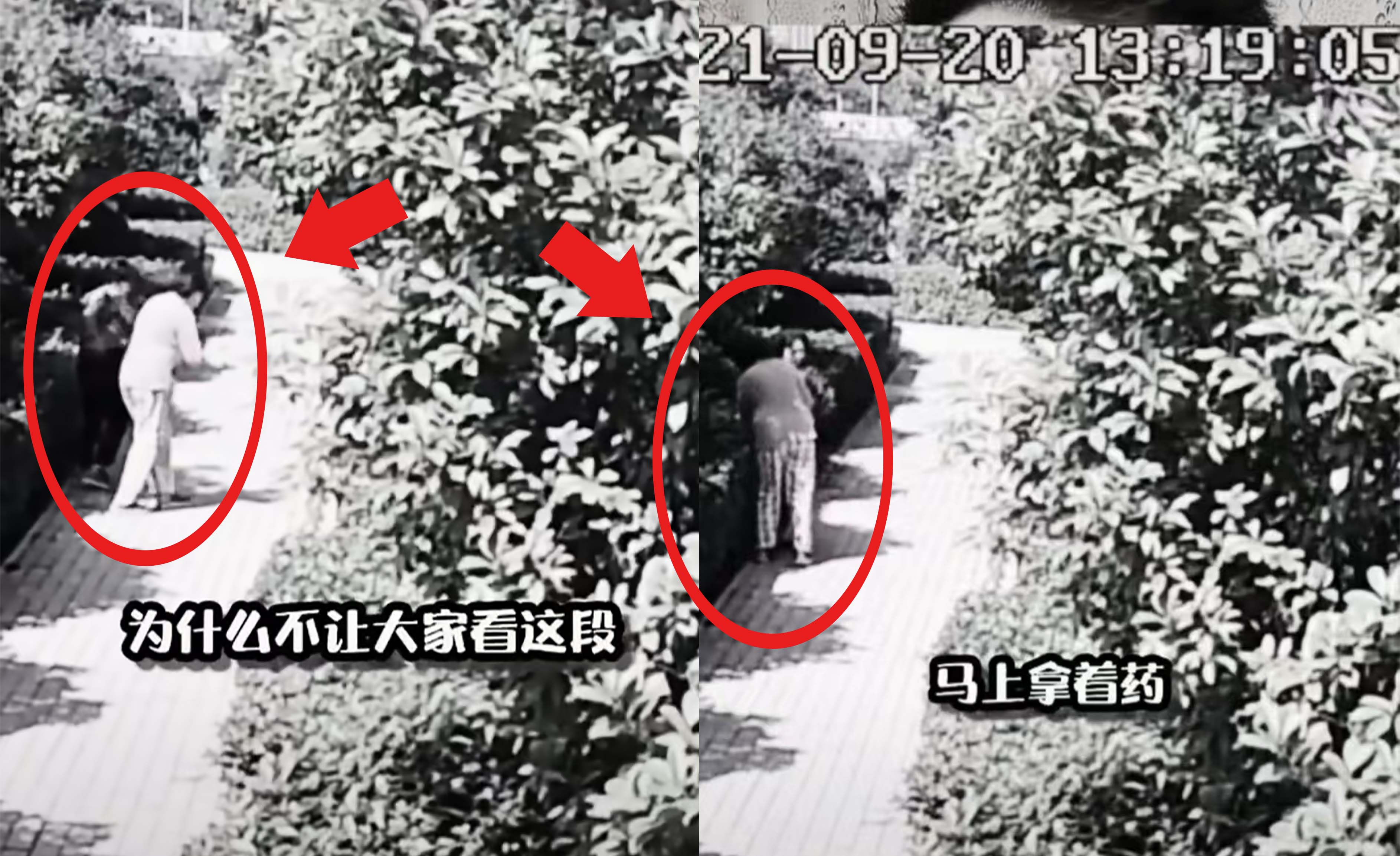 郑州富士康事件,揭开了“小莉帮忙”的遮羞布,良心呢?