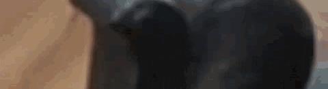 陈坤|给出演“太监”最好的十位演员排座次，甄子丹排第七，陈坤排第二