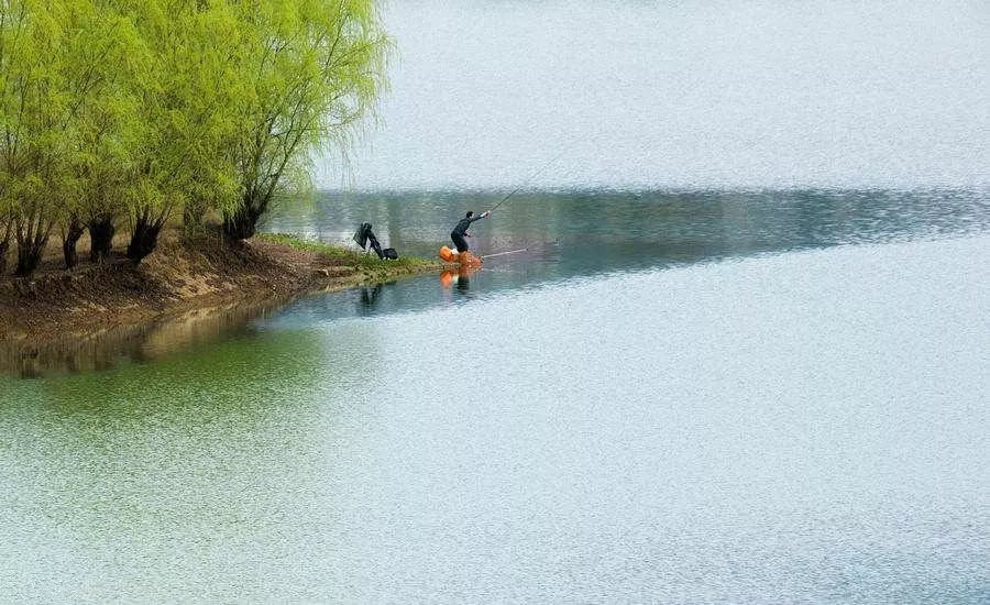 |说好的大板鲫跑哪了?春季的三阶段鱼情不同,出钓要带出节奏