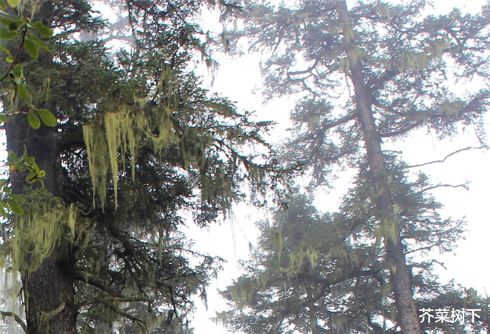 求职|职场敢想敢要，也敢拼