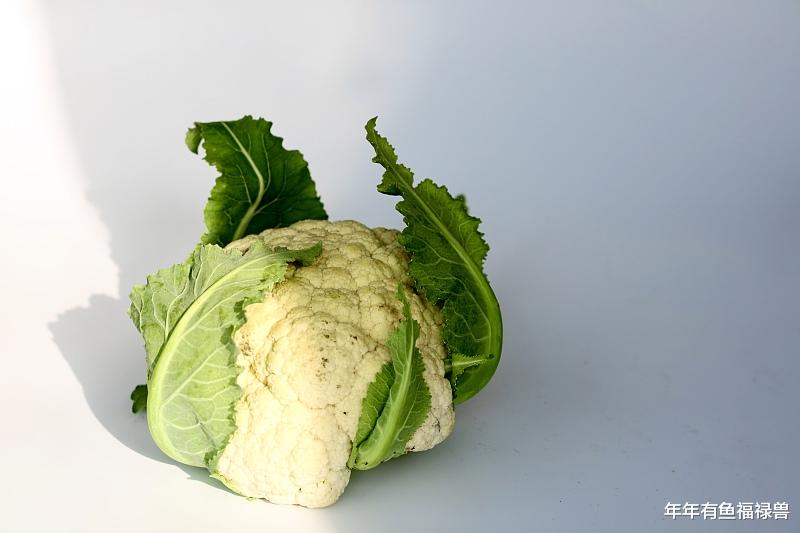 医生 进行瘦身时可以敞开来吃的7种食物