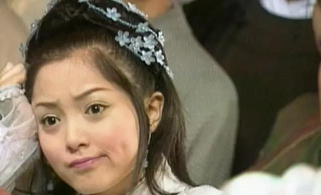 刘怡君|还记得《少年包青天》里的庞飞燕吗?漂亮又有灵气,可惜早早退圈