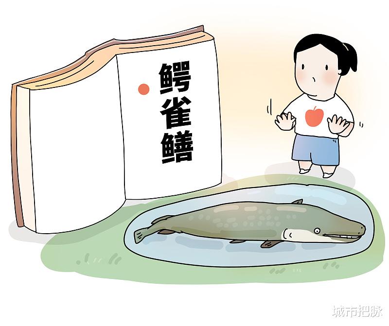 鳄雀鳝|河南汝州抽干湖水捕外来物种鳄雀鳝引争议:钓鱼佬就能搞定这事?