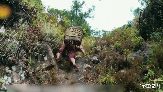 李勒优|李勒优: 变形计最幸运女孩, 被阔太富养8年, 高考成绩却不尽人意