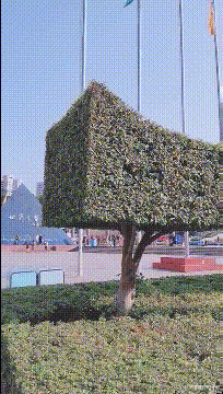 |“钓鱼被咬了一口，谁知道这是什么咬的？”评论区却炸锅了！