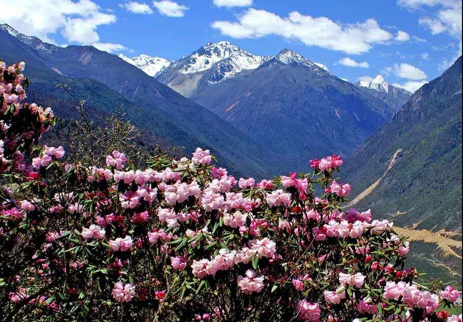 越南旅游|六月，该去这8个地方走走了～过一个五彩斑斓不像人间的夏天！