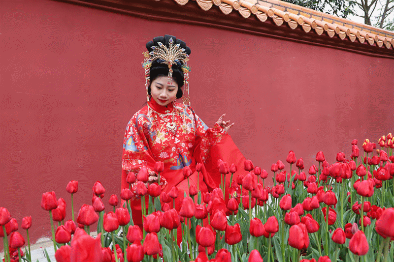 玫瑰|春节假期人气火爆，观音山成为登高许愿网红地！秘诀是…