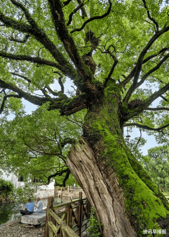 骑行|植里古村→明月湾古村→石公山，骑行苏州太湖，感受人间美好